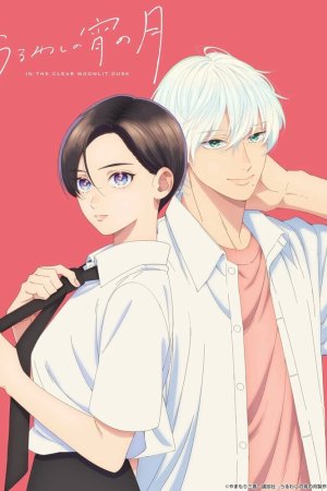 Прекрасная вечерняя луна бесплатно