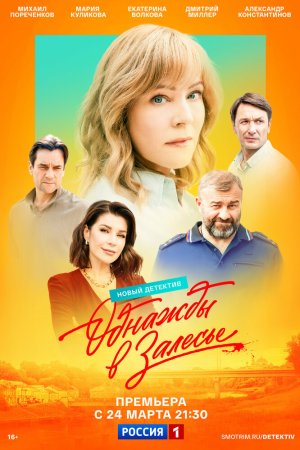 Однажды в Залесье бесплатно